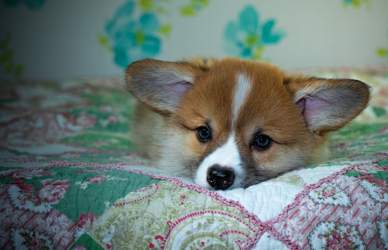 99exch Review: In‑Depth Analysis of India’s Premier Currency Exchange & Partner Platforms